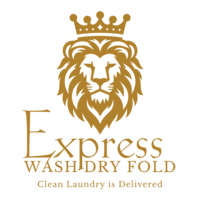 expresswashdryfold.com